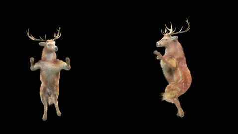 Deer, with Alpha matte. Stock Footage 138739366