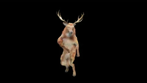 Deer, with Alpha matte. Видео 167430152