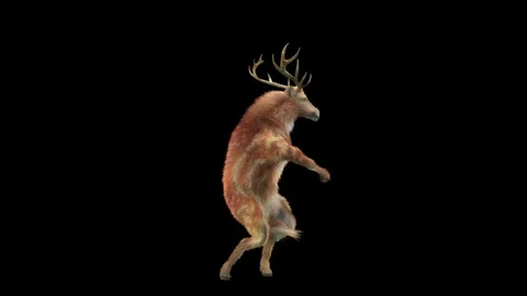 Deer, with Alpha matte. 스톡 동영상 167430197