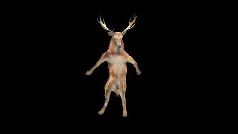 Deer, with Alpha matte. 库存影片 168572814