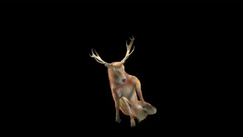 Deer, with Alpha matte. Stock Footage 173161731