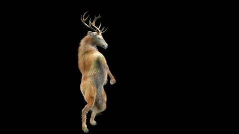 Deer, with Alpha matte. 库存影片 179551788