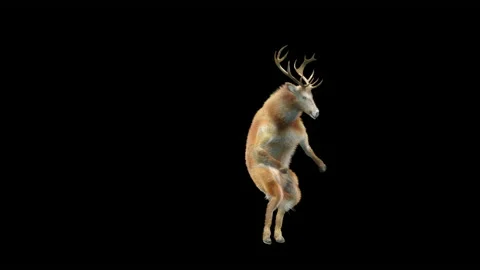 Deer, with Alpha matte. 스톡 동영상 194305064