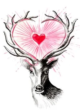 Deer and heart Illustrazione stock