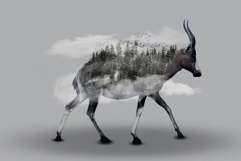 Deer and magical forest Stock Illustration