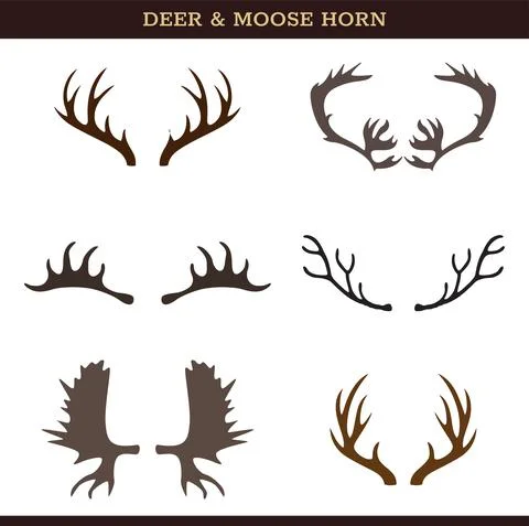 Deer and Moose Horn Vector Icon Set On White Background Illustrazione stock