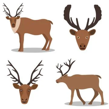Deer and their head Stock Illustration