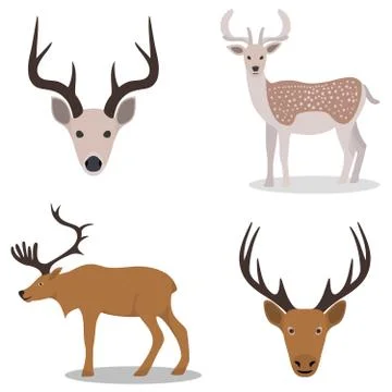 Deer and their head Stock Illustration