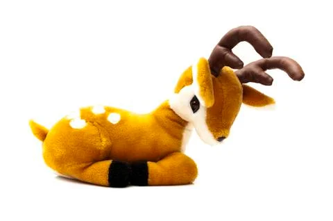 Deer with antlers 스톡 사진