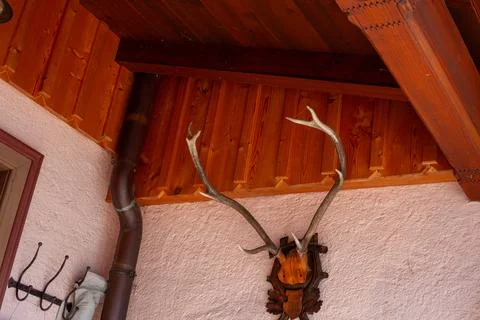 Deer Antlers Trophy on Wall below Wooden Roof Elements of Traditional House i Stock Photos