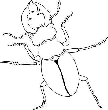 Deer beetle. Beetles coloring pages. Vector, hand drawn illustration. Stock Illustration