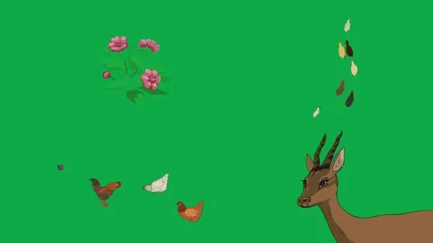 Deer Bird Seed Leaf 2d animated cartoon character on green screen High quality Stock Footage 334703680