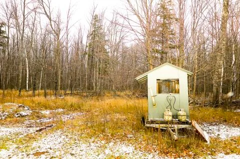 Deer blind in a clearing in a deciduous forest Foto stock