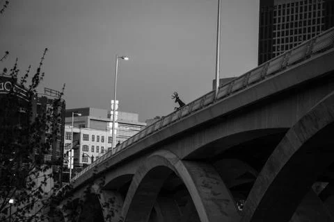 Deer on the bridge Foto stock