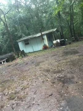 Deer camp 스톡 사진