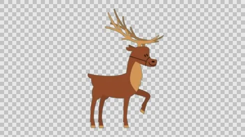 Deer Cartoon Animation Stock Footage 56724982