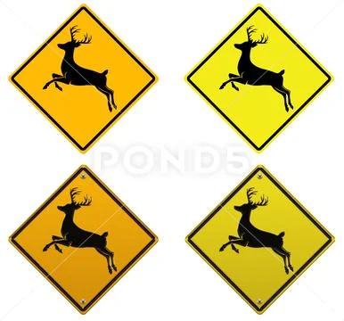 Deer Caution PSD 템플릿