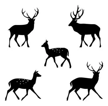 Deer collection - vector silhouette. Stock Illustration