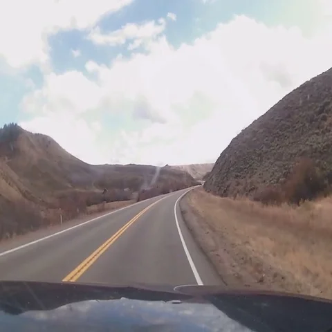 Deer Collision Car Accident Stock-Footage 69551803