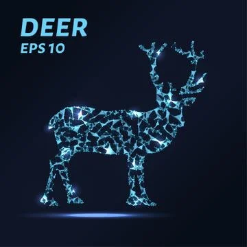 The deer consists of points, lines and triangles. The polygon shape in the .. Stock Illustration