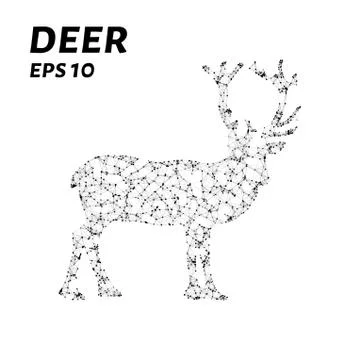 The deer consists of points, lines and triangles. The polygon shape in the .. Stock Illustration