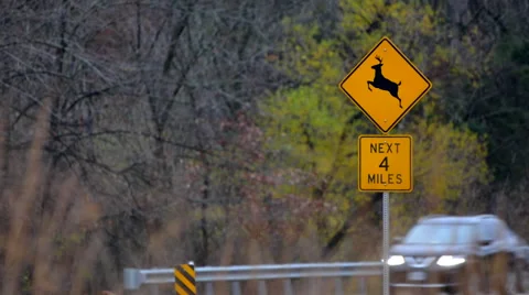 Deer Crossing board onside road Stock Footage 56712288