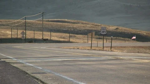 Deer Crossing Highway 385 in Custer State Park Stock Footage 119242518