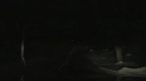 Deer crossing at night Stock Footage