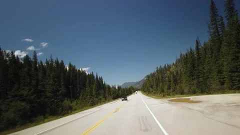 Deer Crossing While Driving on Highway of Yoho National Park Stock Footage 130861717