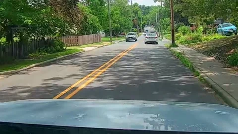 Deer Dashes Out in Front of SUV and Goes Flying, Asheville, North Carolina, USA  Stock Footage 313244383