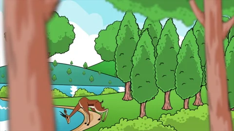 Deer Drink Water In The Forest Stock Footage 232189505