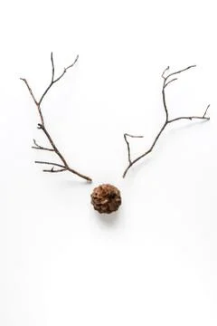 Deer face made from pine branches and cones. Minimal Christmas concept. Flat  Stock Photos