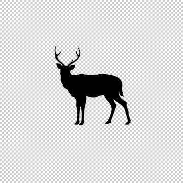 Deer facing front Stock Illustration