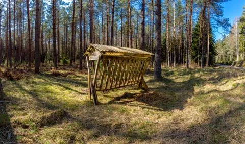 Deer feeder in the forest Stock Photos