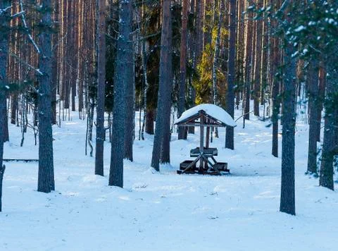 Deer feeder in the winter forest Foto stock