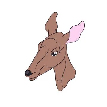 Deer female color, vector Stock Illustration