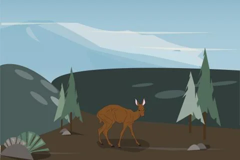 Deer female color, vector Stock Illustration