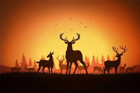 Deer in the field Stock Illustration