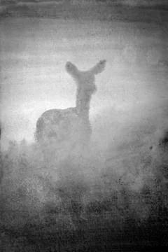 Deer in the fog Stock Illustration
