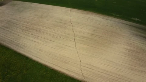 Deer footprints in field Stockbeeldmateriaal 154353863