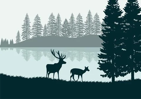 Deer in the forest and lake vector Illustrazione stock