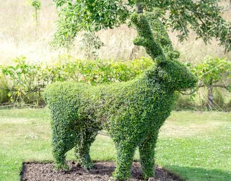 Deer frame topiary Stock Photos