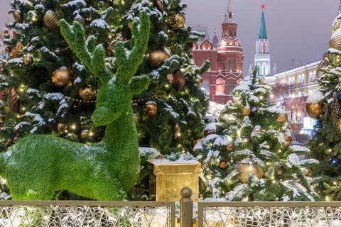 Deer from the grass on the background of a dressed Christmas tree on the even Fotos de archivo