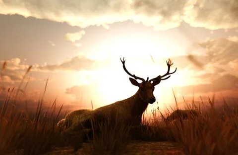 Deer in grass field at sunset or sunrise,3d illustration Stock Illustration
