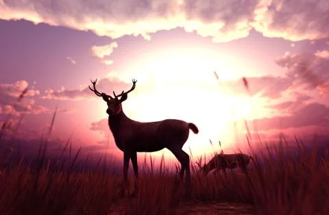 Deer in grass field at sunset or sunrise,3d illustration Stock Illustration