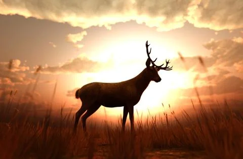 Deer in grass field at sunset or sunrise,3d illustration Stock Illustration