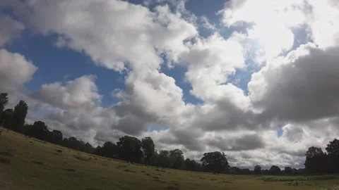 Deer grazing under cloudy sky Fish eye effect Video stock 133641330
