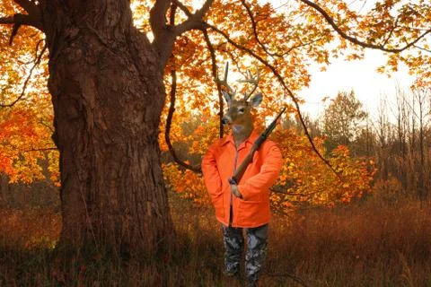 Deer with gun Stock Photos