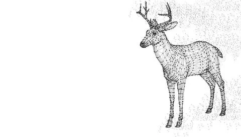  Deer head 3d vector illustration animal. Abstract wirframe polygon triang... Stock Photos