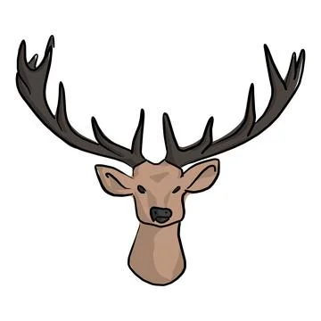 Deer head with beautiful horns vector illustration sketch doodle hand drawn w Stock Illustration